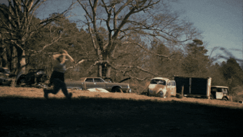 giphy.gif