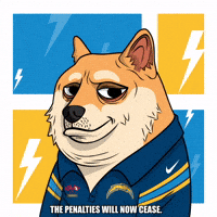 Shiba Inu Football GIF by Doge Pound
