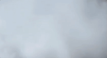 martin truex jr burnout GIF by NASCAR