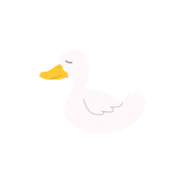 Kids Duck Sticker