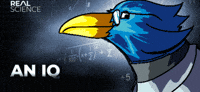 ItsJustKC bird nerd deltarune chapter 2 GIF