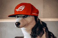 Republic Of Gamers Deal With It GIF by ASUS Republic of Gamers Deutschland