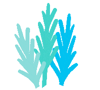 kellyyhill summer beach ocean sea Sticker