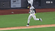 New York Yankees Win GIF by MLB