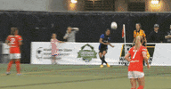 reign fc goal GIF by Seattle Reign FC