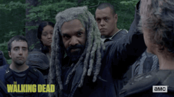 twd GIF by The Walking Dead
