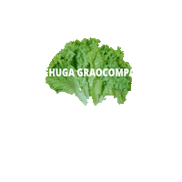 Sticker by Graocompany