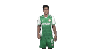 Football Singapore Sticker by Geylang International FC