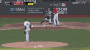 Jomboy  GIF