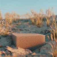alessiodevecchi summer beach surreal liquid GIF