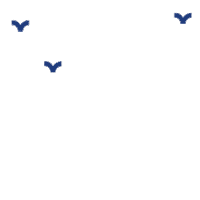 Instagram Day Sticker by Ulaştırma ve Altyapı Bakanlığı