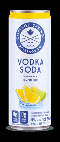 Canada Toronto GIF by CottageSprings