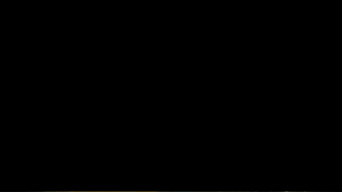 GIF 1