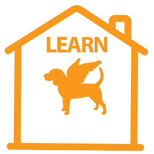 whenhoundsfly stayhome whf when hounds fly learnfromhome Sticker