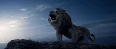 FLYBUY giphyupload GIF