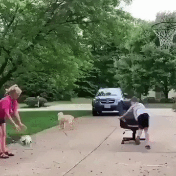 amras giphyupload GIF