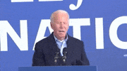 Joe Biden GIF by Election 2020