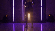 Washington Huskies Softball GIF by NCAA Championships