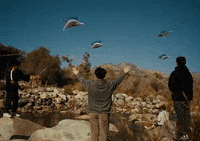 GIF by Aries
