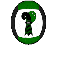 swissdodgeball dodgeball basel bale swissdodgeball Sticker