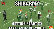 Shib Coin GIF by SHIB MEMES