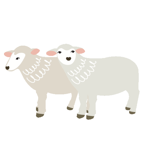 Christmas Sheep Sticker by evangelisch.de
