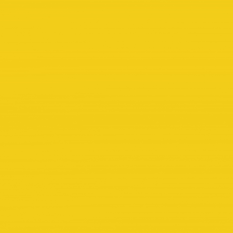 Crypto Community GIF by Raiinmaker