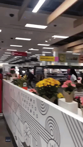 Crowds Riot and Loot Minneapolis Target Store After Man Shoots Himself
