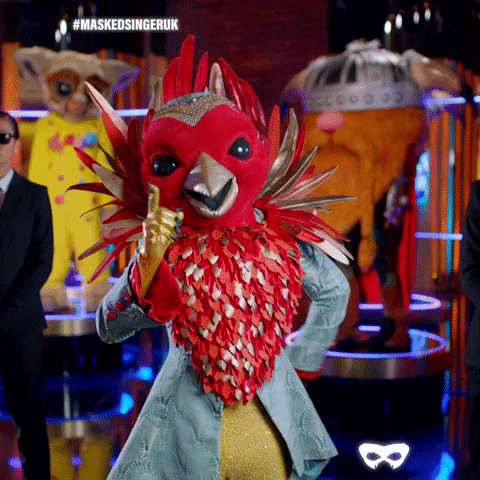 Robin GIF by The Masked Singer UK