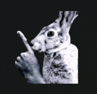 pixxelspac3  GIF
