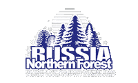 Nf Rallyraid Sticker by Baja RUSSIA – Northern Forest