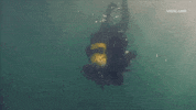 GIF by Black Market