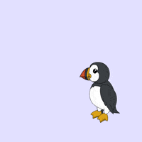 puffinsdotfun fly adventure sky flying GIF