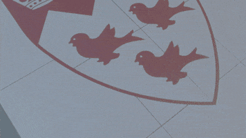 Mbm GIF by McGill University