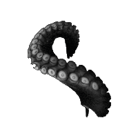 Tentaculo Sticker by Tentáculo Digital