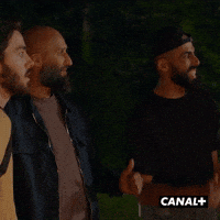 Friends Paul GIF by CANAL+