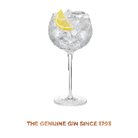 PlymouthGinGlobal drink alcohol gin copa Sticker