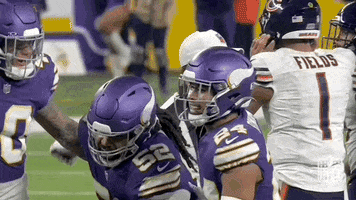 National Football League GIF by NFL