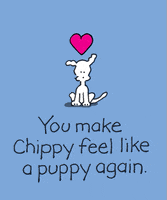 chippythedog chippythedog GIF