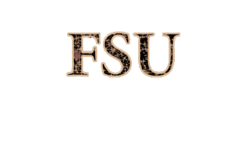 glitter fsu Sticker by Florida State University