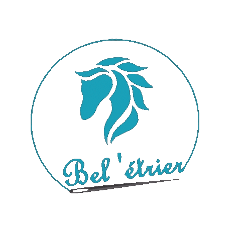 Beletrier giphyupload beletrier Sticker
