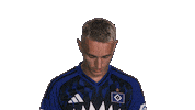 Look Up Hamburger Sv Sticker by Bundesliga