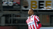 GIF by FOX Sports