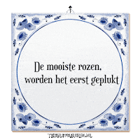Humor Moment Sticker by Tegelspreuken.nl