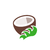 Coconut Limeade Sticker by Polar Seltzer