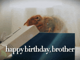Happy Birthday GIF by Sealed With A GIF