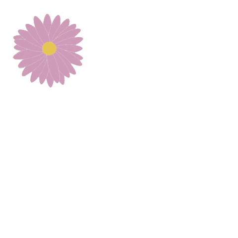 Flower Box Sticker by Calla Blanche