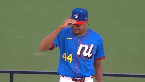 Washington Nationals Sport GIF by MLB