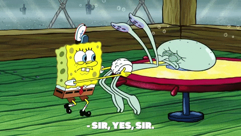 season 9 episode 3 GIF by SpongeBob SquarePants