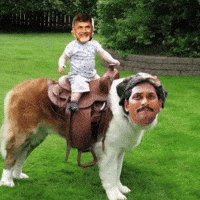 Ysrcp Janasena GIF